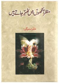 Manzer Ankhoun Mein Thehrey Rehte Hein — book cover